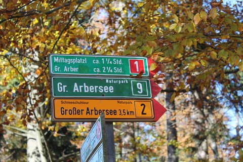 Grosse Arbersee, itinéraire