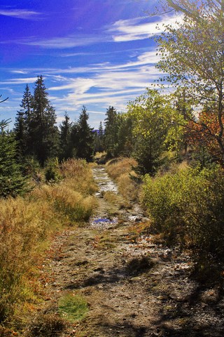 chemin de randonnée, Arbersee